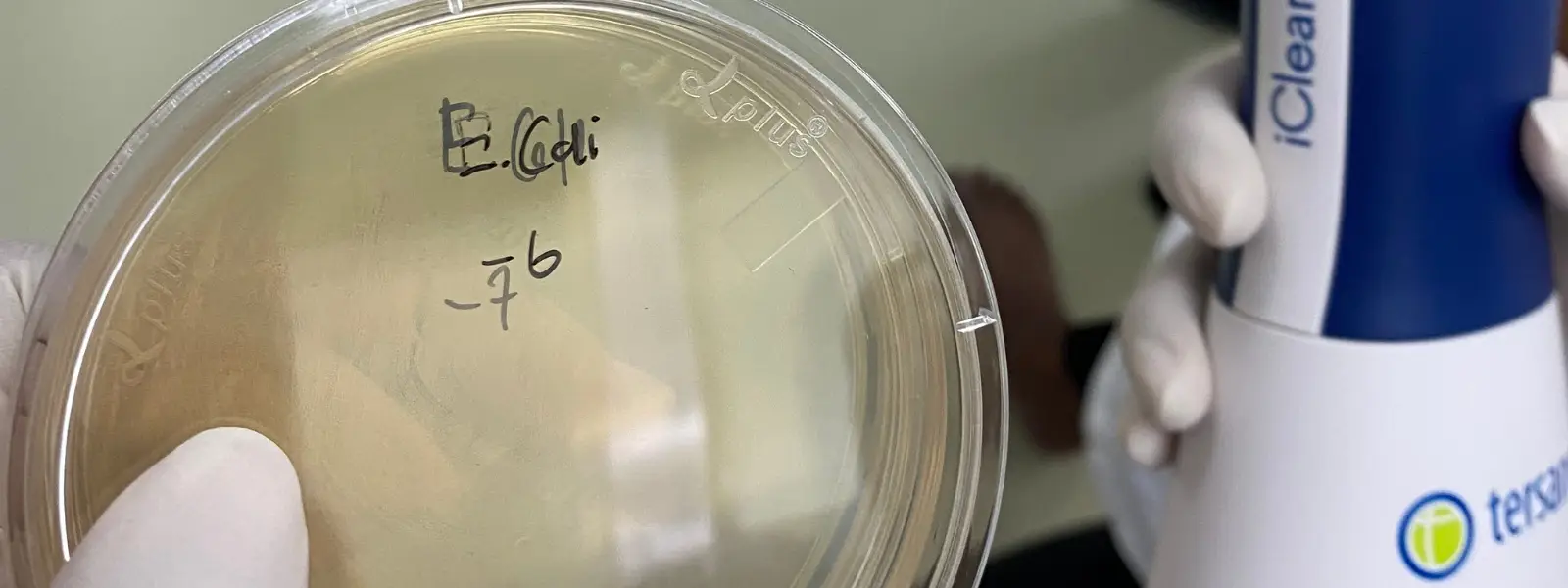 ความน่าเชื่อถือและมาตรฐานการรับรอง